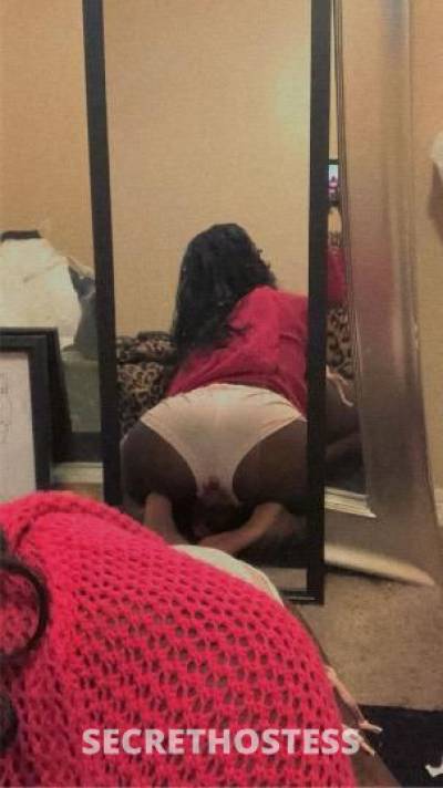 21Yrs Old Escort 187CM Tall Miami FL Image - 2