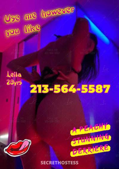 23Yrs Old Escort Westchester FL Image - 2