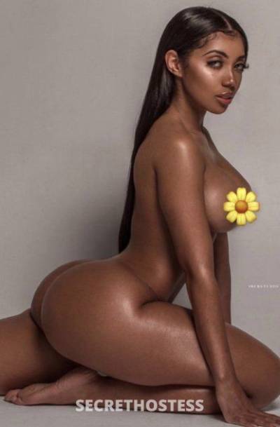 24 year old Middle Eastern Escort in San Diego CA ❄️❄️MIDDLE EASTERN..SeXY Fatima.party girl