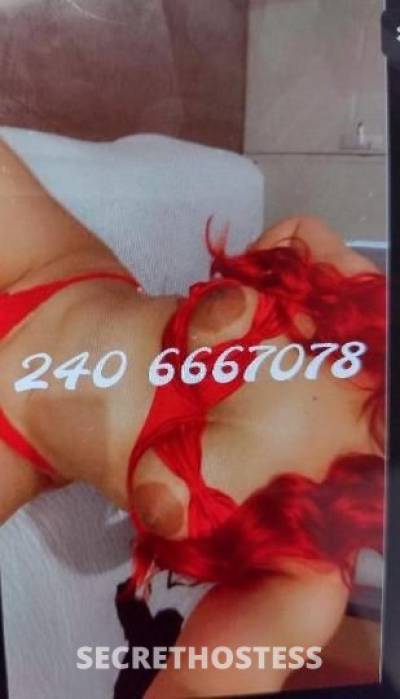 26 Year Old German Escort Washington DC - Image 2