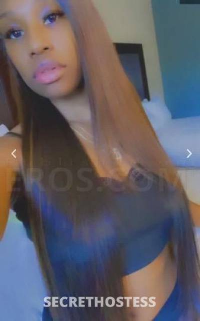 24 year old Escort in San Buenaventura CA Your Favorite Chocolate Fantasy