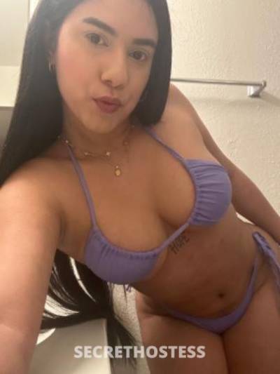 25Yrs Old Escort 172CM Tall Jacksonville FL Image - 2