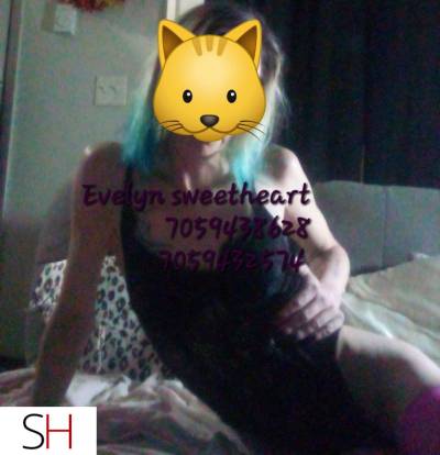 29Yrs Old Escort 167CM Tall Sault Ste Marie Image - 10