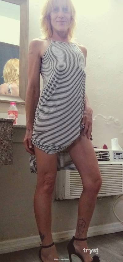 47Yrs Old Escort Size 8 Clearwater FL Image - 2