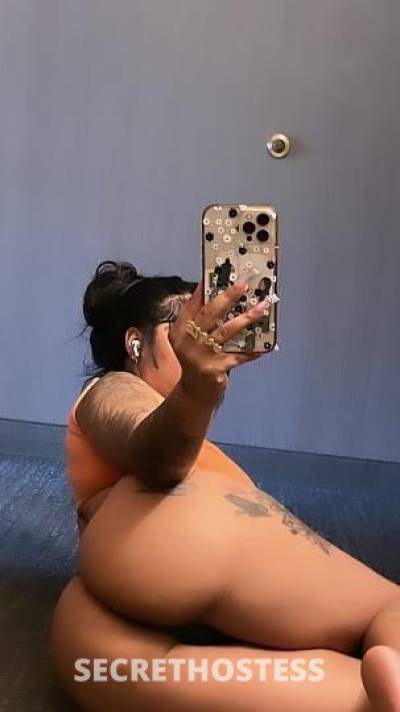 Honey 20Yrs Old Escort Denver CO Image - 2
