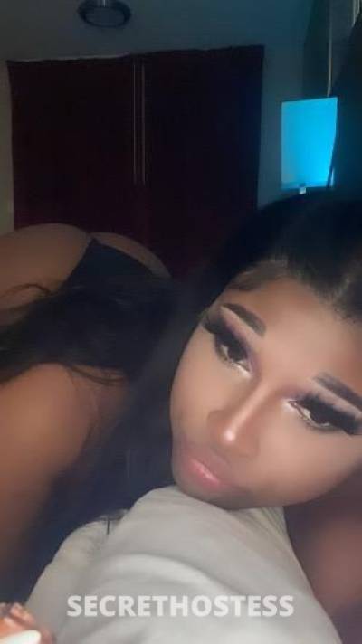 Janikah 23Yrs Old Escort 172CM Tall Oakland CA Image - 2