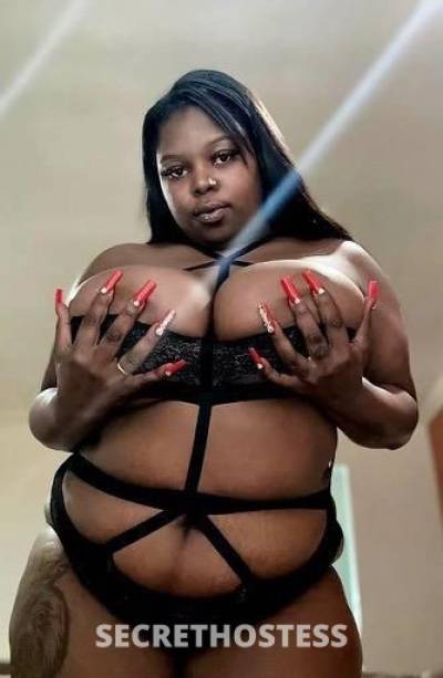 Jazz 26Yrs Old Escort Oakland CA Image - 0