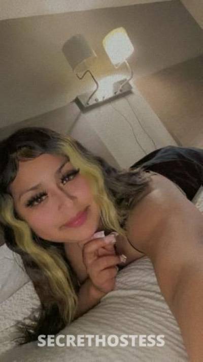 Lexii 24Yrs Old Escort Monterey CA Image - 2