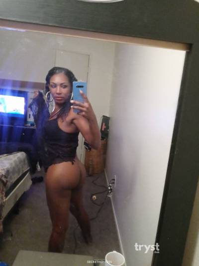 26Yrs Old Escort Size 8 Las Vegas NV Image - 4