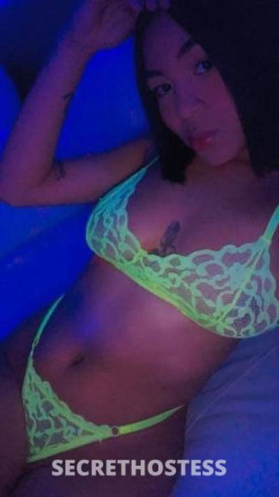 Amelia 22Yrs Old Escort Bradenton FL Image - 2