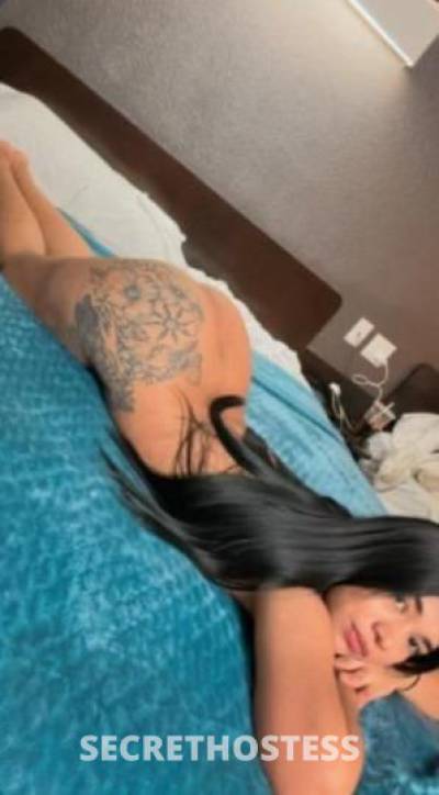 Andrea 24Yrs Old Escort San Jose CA Image - 1