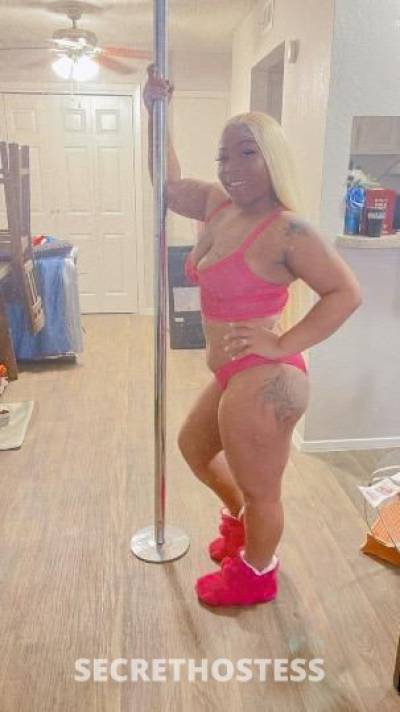 Angelcake 24Yrs Old Escort Bloomington IL Image - 1