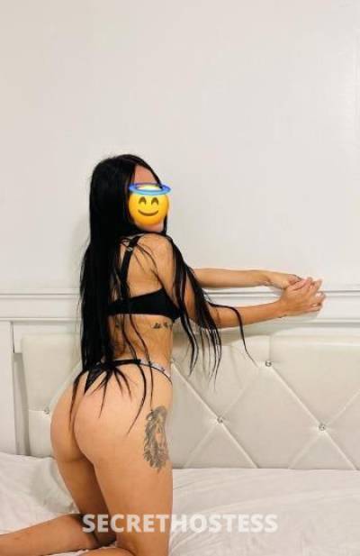 Beba 23Yrs Old Escort Bradenton FL Image - 1