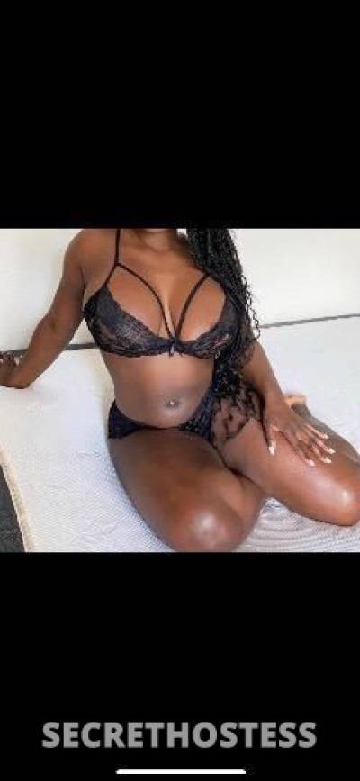 Bunny 28Yrs Old Escort Fort Myers FL Image - 0