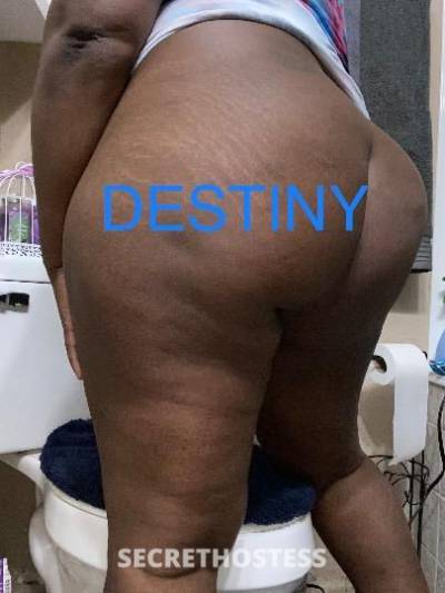 Destiny 30Yrs Old Escort Gainesville FL Image - 1