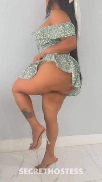 Kamila 27Yrs Old Escort Miami FL Image - 1