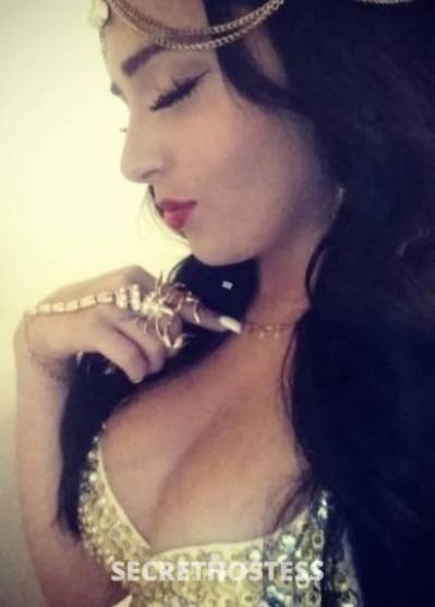 Megan 26Yrs Old Escort Phoenix AZ Image - 1