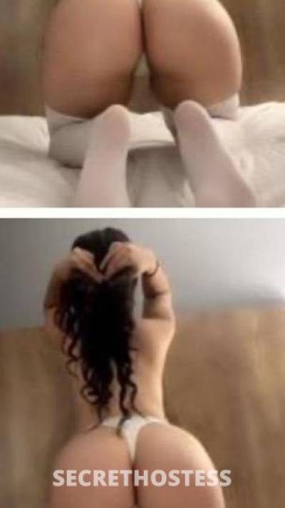 28 year old Escort in Palm Springs CA Desiree your favorite