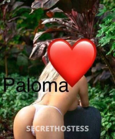 Paloma 35Yrs Old Escort Fort Lauderdale FL Image - 2