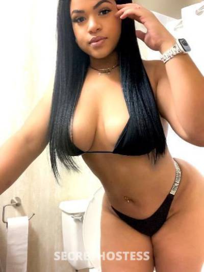 Paola 28Yrs Old Escort Tampa FL Image - 1