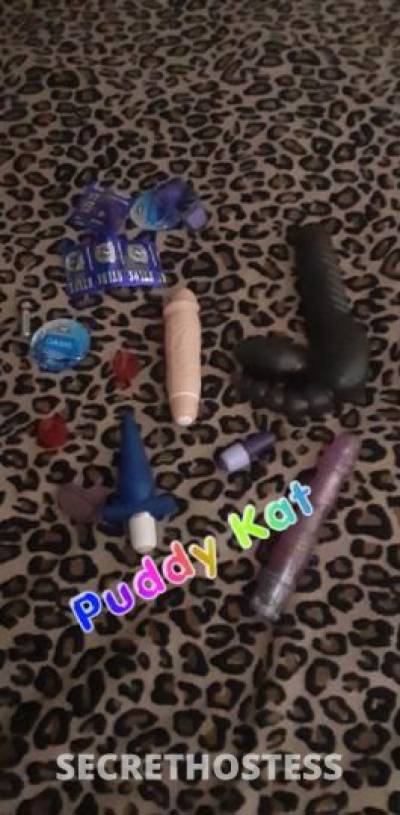 L.K It's a Puddy Kat " La Mneca" Adult Escort ~  in Tucson AZ