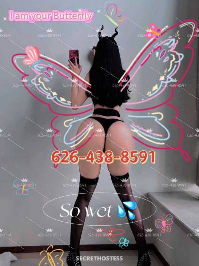 23Yrs Old Escort San Jose CA Image - 3