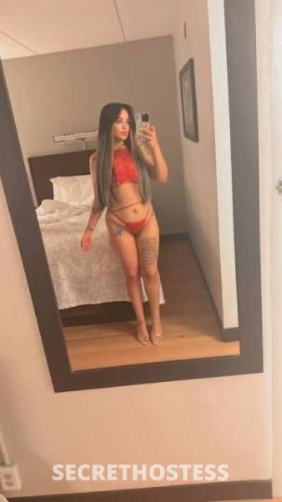 Amira🤍 25Yrs Old Escort Worcester MA Image - 0