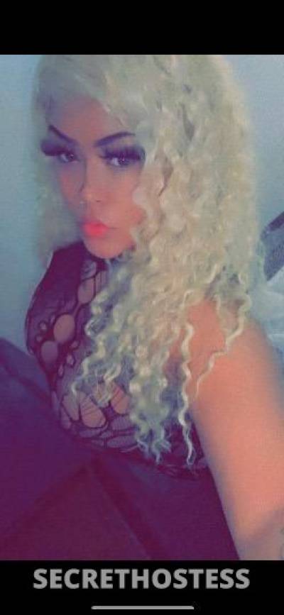 26 year old Escort in Tri-Cities WA kennewick .... Lets play ...facetime verification