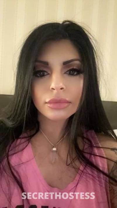 26 Year Old Middle Eastern Escort Seattle WA - Image 1
