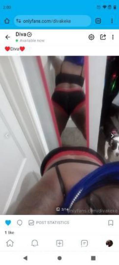 Diva 30Yrs Old Escort Flint MI Image - 0