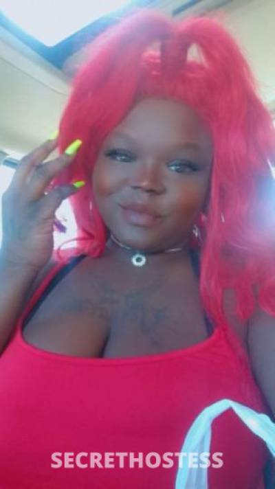 HarleyQuinn 28Yrs Old Escort North Mississippi MS Image - 1