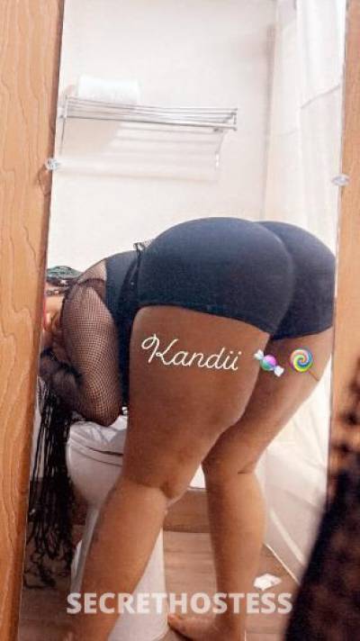 Kandii 26Yrs Old Escort North Mississippi MS Image - 1