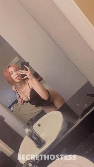 Laura 23Yrs Old Escort Denton TX Image - 1