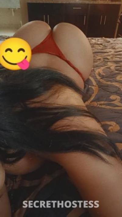 Lili 25Yrs Old Escort Houston TX Image - 1