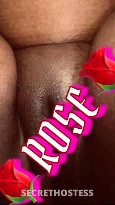 Rose 25Yrs Old Escort Staten Island NY Image - 1