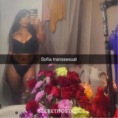 transsexual morena cachonda aqui en el valle in McAllen TX