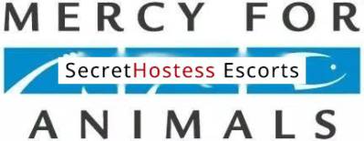 23 year old Escort in New Haven CT Providence Escort Available in Metro Area