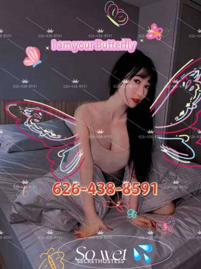 23Yrs Old Escort San Jose CA Image - 0