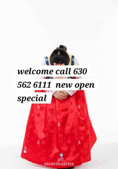 24 Year Old Korean Escort Chicago IL - Image 1