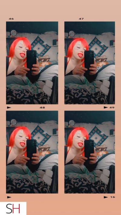25 year old Caucasian Escort in Winnipeg - 20$ cbj Tuesdays with shorty