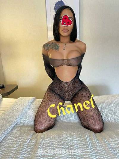 25Yrs Old Escort Long Island NY Image - 2