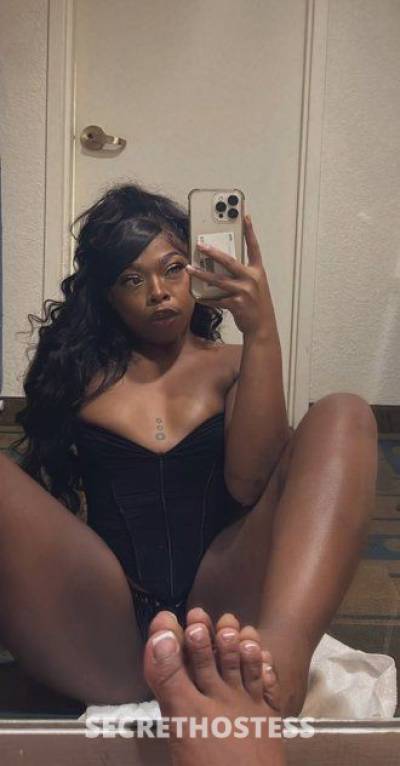 23Yrs Old Escort Tampa FL Image - 1