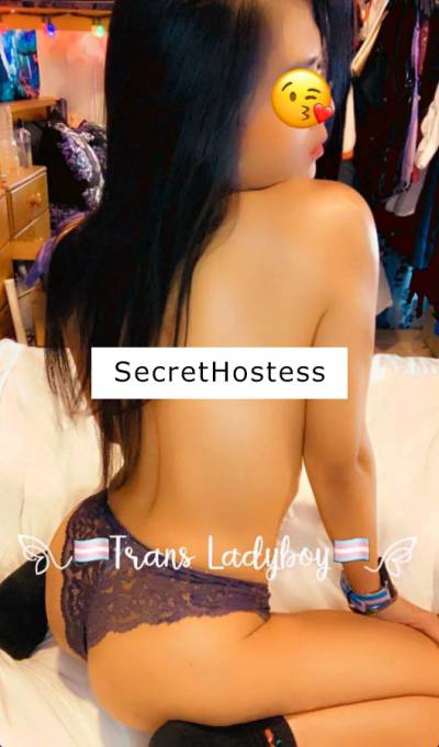 Trans LadyBoy - Alex 27Yrs Old Escort Hamilton Image - 1