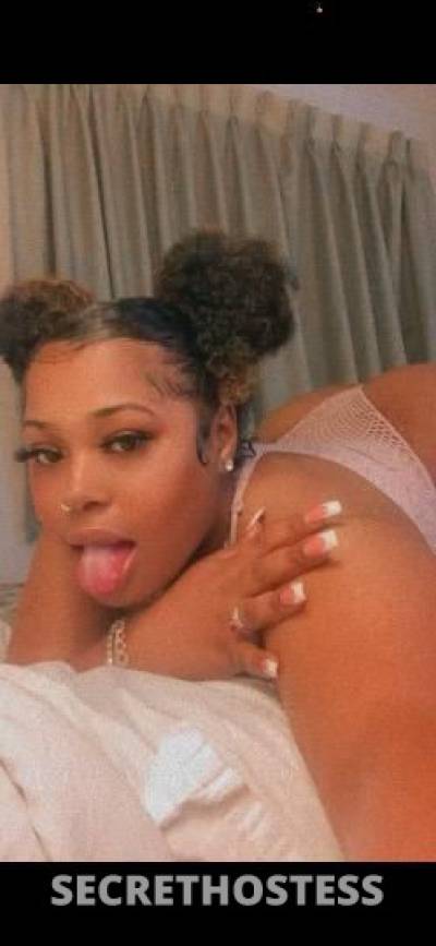 Ari 23Yrs Old Escort Lafayette LA Image - 2