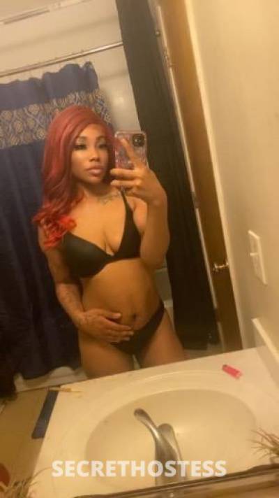 BostonBaddie 30Yrs Old Escort Athens GA Image - 0