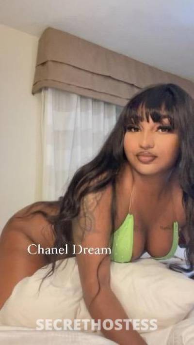 Chanel 23Yrs Old Escort New Orleans LA Image - 1