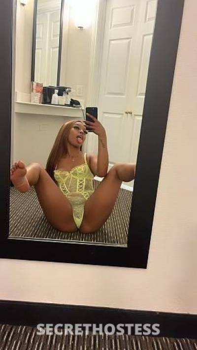 Dior 24Yrs Old Escort Birmingham AL Image - 0