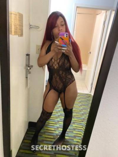 Hennessy 24Yrs Old Escort Louisville KY Image - 0
