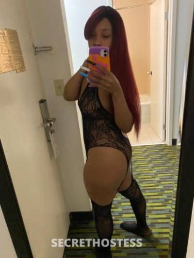 Hennessy 24Yrs Old Escort Louisville KY Image - 1