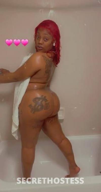 Holly 26Yrs Old Escort Albany GA Image - 0